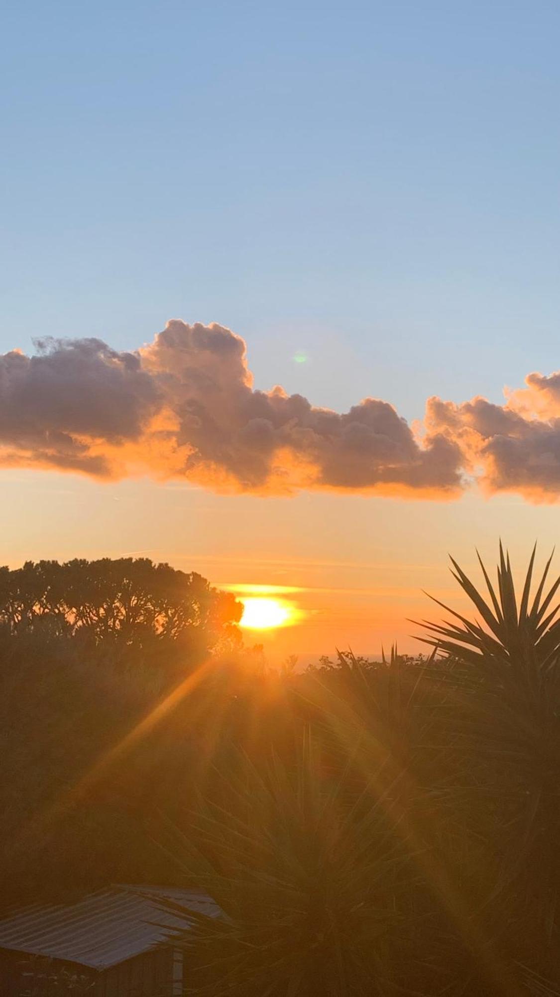 Villa Soledad Cassis Dış mekan fotoğraf
