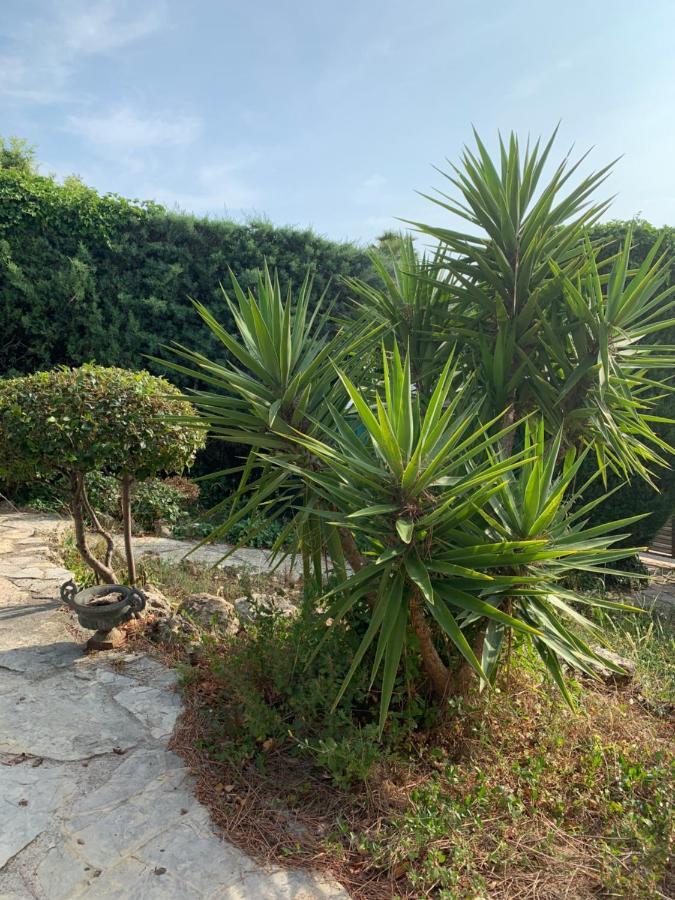 Villa Soledad Cassis Dış mekan fotoğraf
