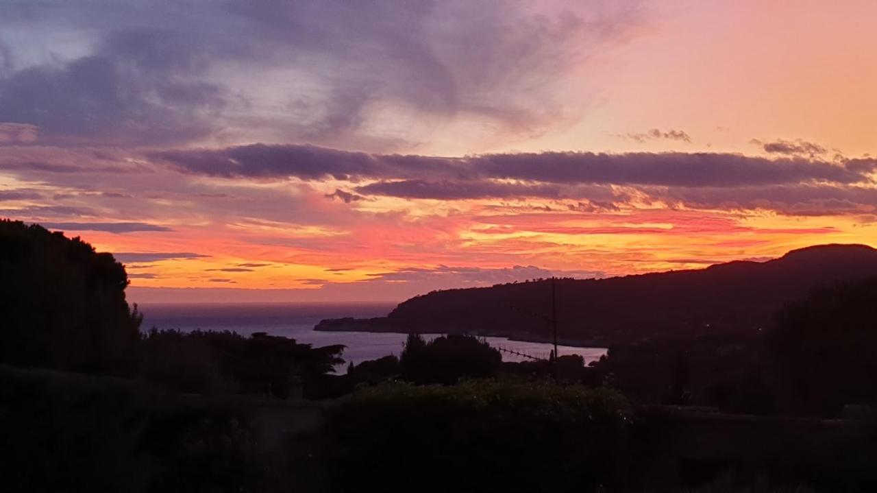 Villa Soledad Cassis Dış mekan fotoğraf